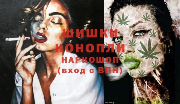 Альфа ПВП Лагань