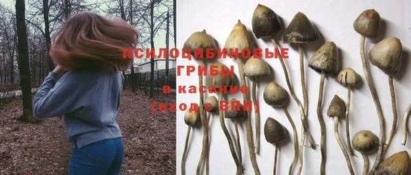 прущая мука Ладушкин