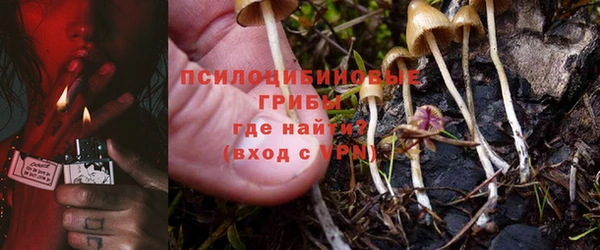 Альфа ПВП Лагань